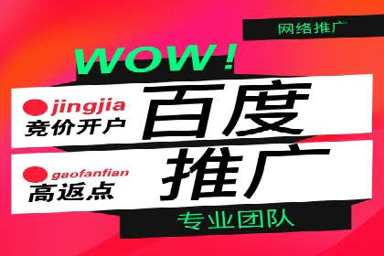 百度推广运营策略案例：品牌提升的捷径