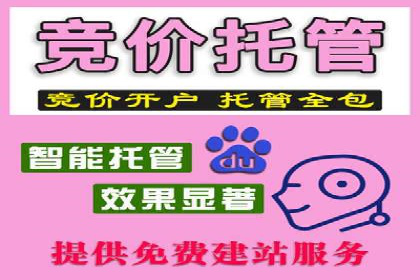 百度竞价广告：案例分析，教你如何精准投放